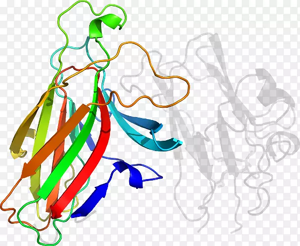 ��������ƽ����Ƶ��Ʒ-������