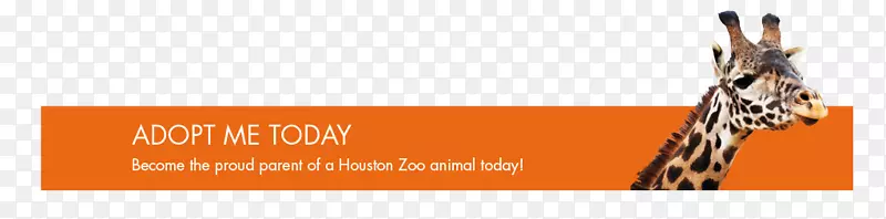 ����¹����Ʒ�Ƴ�ɫS.A��-����ˮ̡-������