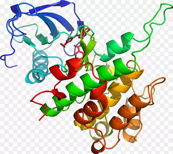 ������ֲ���л���ϵ�ж���-������