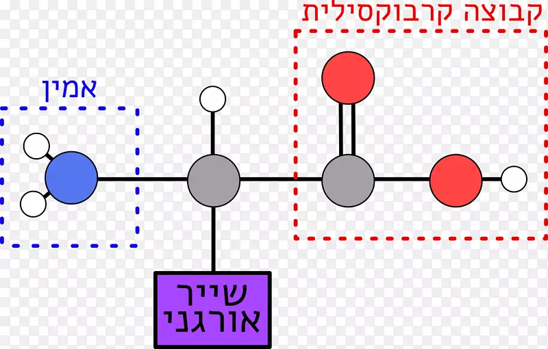 ζ��������ζ��-������