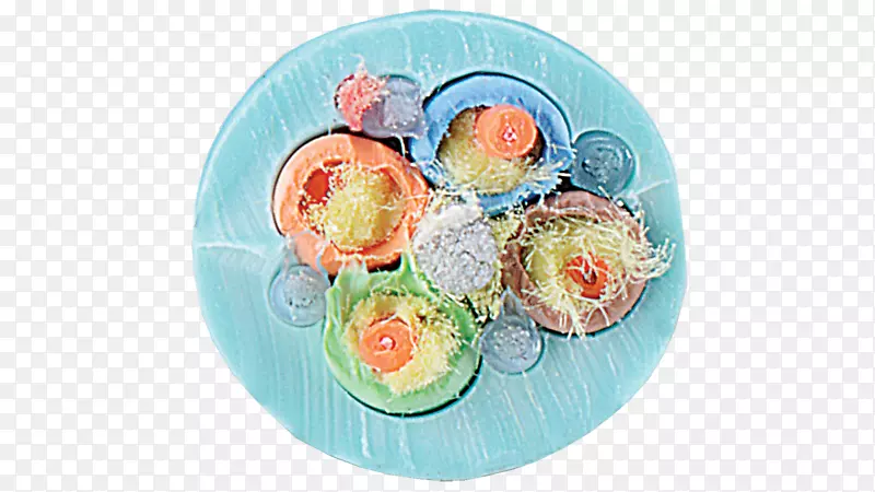 ʳ��������m-���˻�����-������