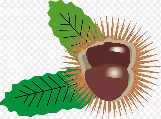 ���ô���������＾��Ħ-����-������