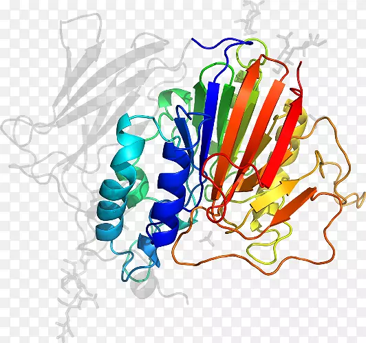 ��������ͼƽ������ߵ�-iopomoea-������