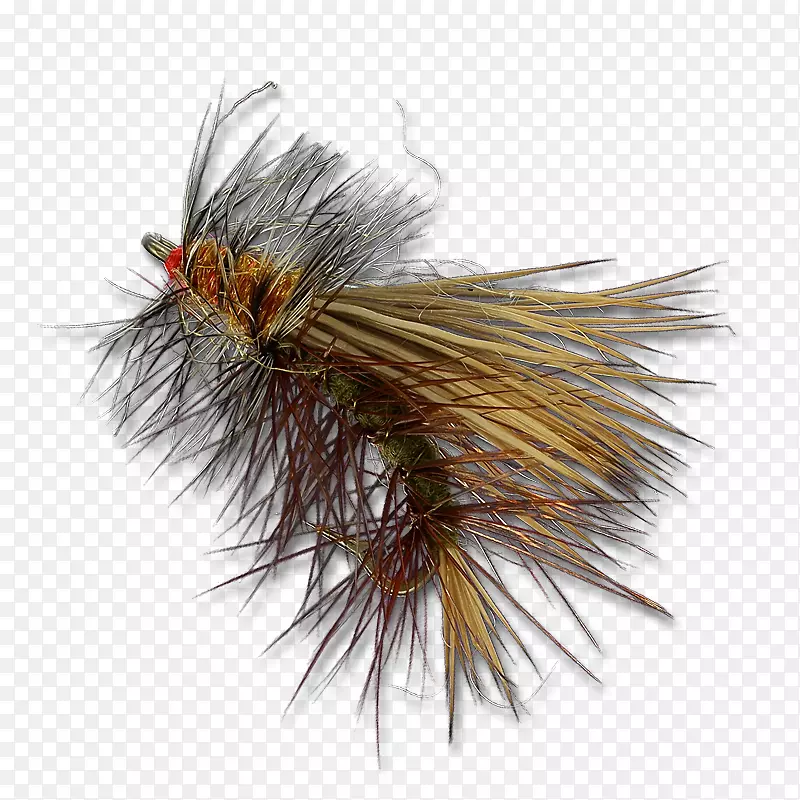 �����˹�Ӭ��S.A.Ĥ��Ӭ-������