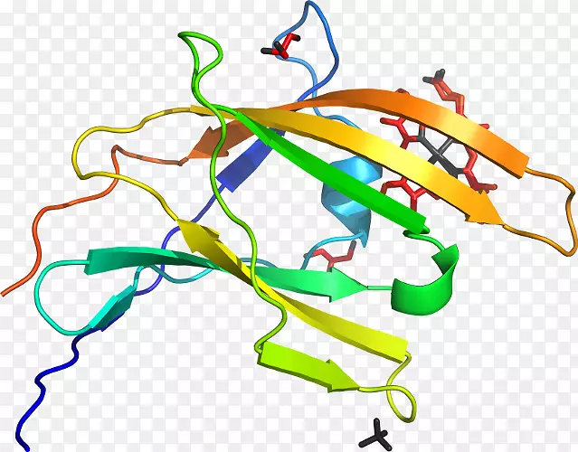 �������߲�Ʒ��Ҷԭ߲��-������