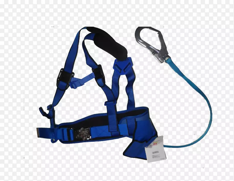 ��ѧ������������-������