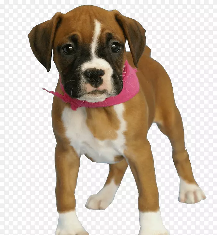 ��-��PNGͼƬ���ع�-������