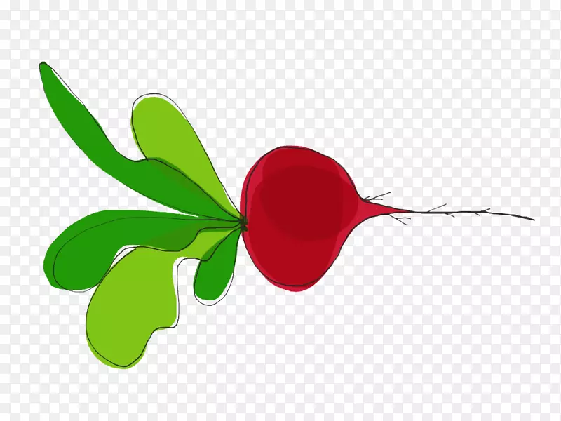 ������Ҷֲ�ﾥ֦����ֲ�ﲥ����-������