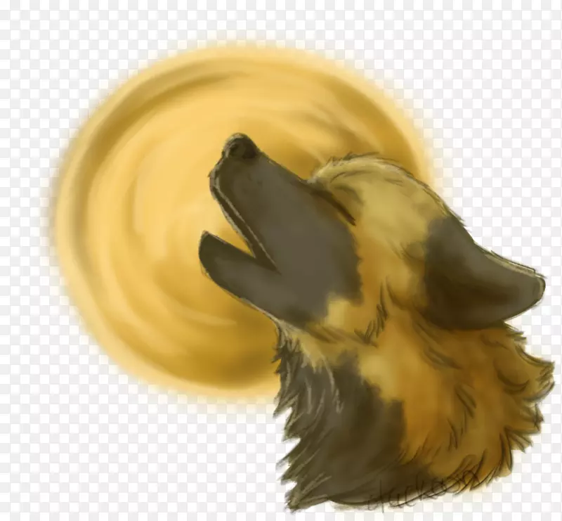 ��ǽ�-������