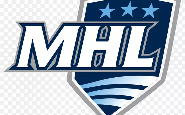 �̱������Ʒ����-������