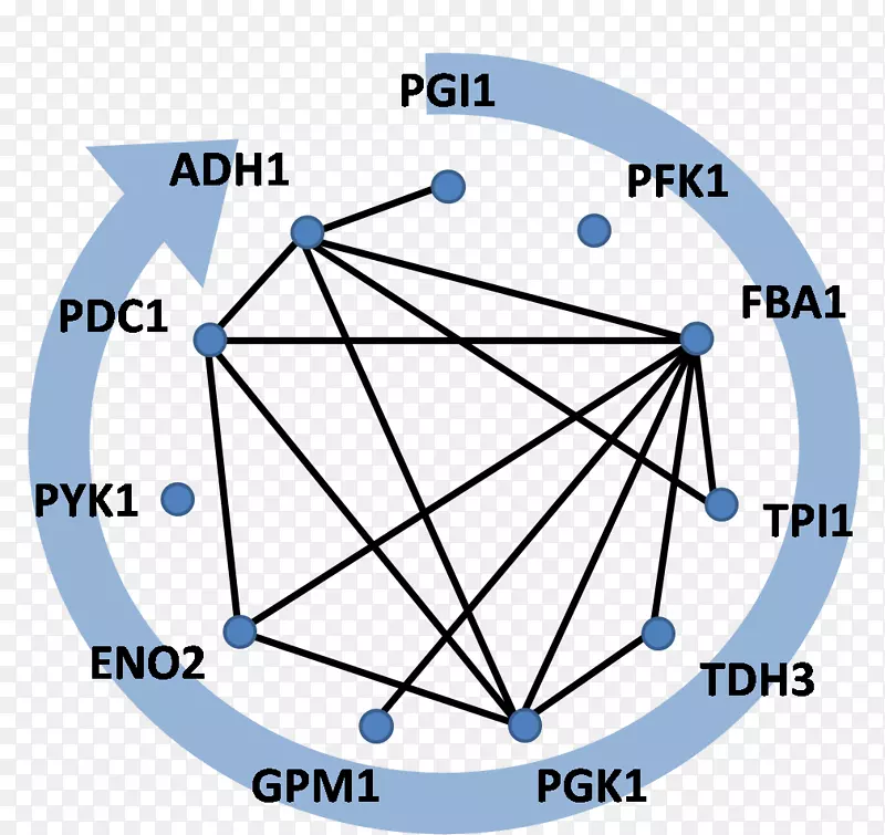 ���г�������������.Abel����-������