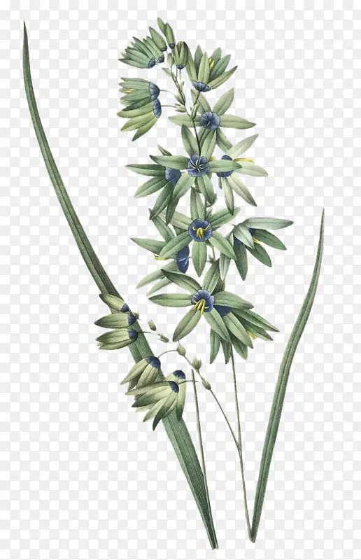 ��ԡ����������ֲ��廭����-������