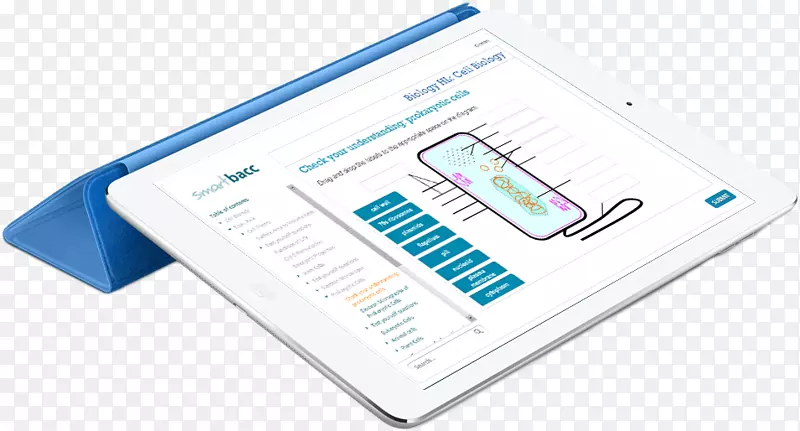 �������ֽ�߲�Ʒ-������