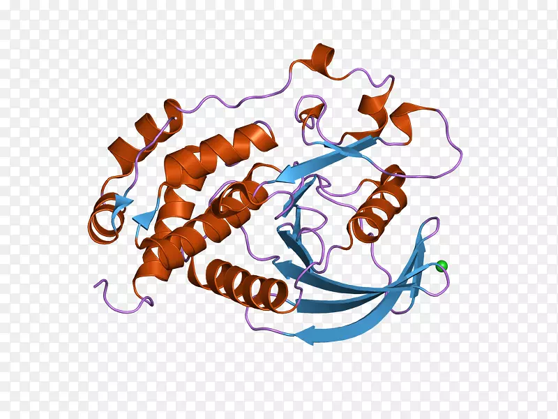 ������ʳƷ-������