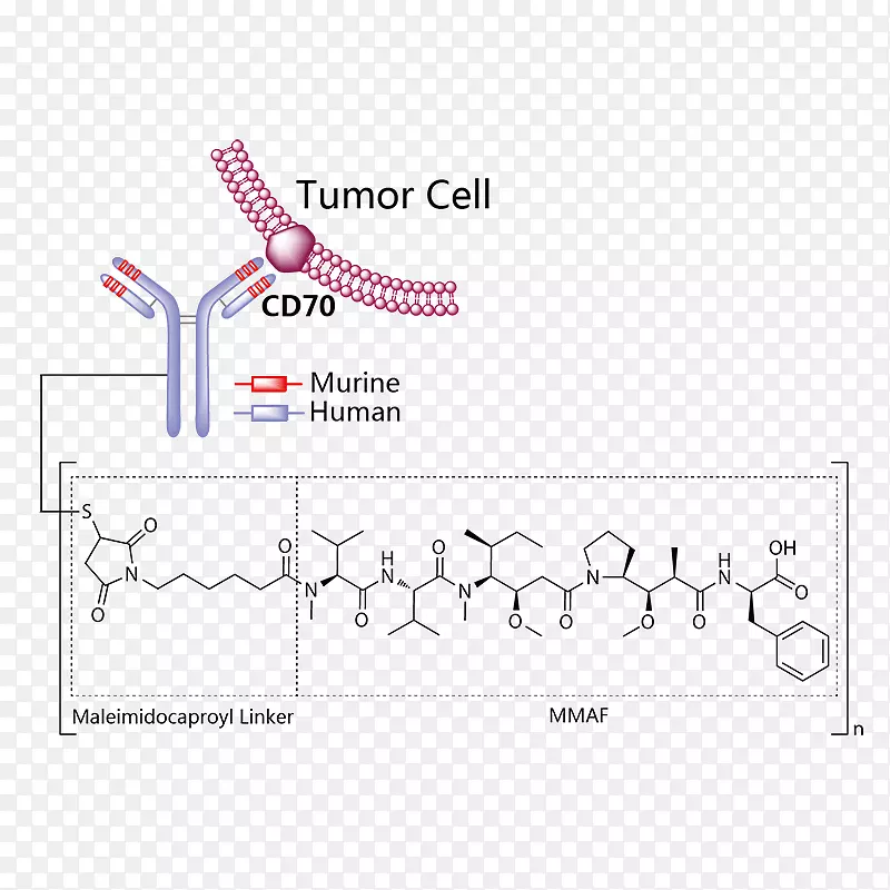 �����Թ����������׻���˾��͡e-����ҩ������-������