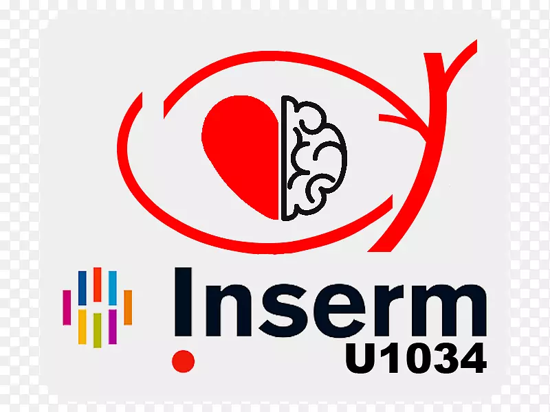 �̱������Ʒ������-������