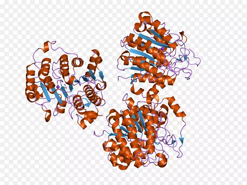 ��Ʒ�л��������ɫS.A.-������