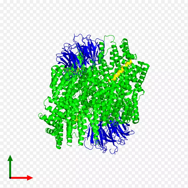 �ߵ��������-������