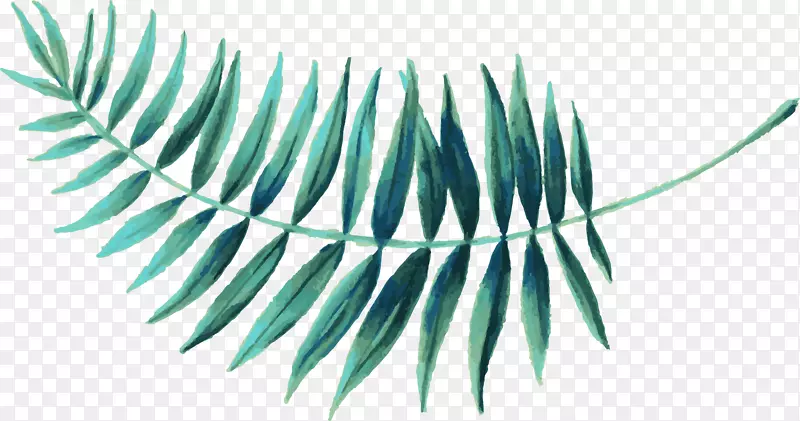 ��������Ҷ���յ����ʼ�-������