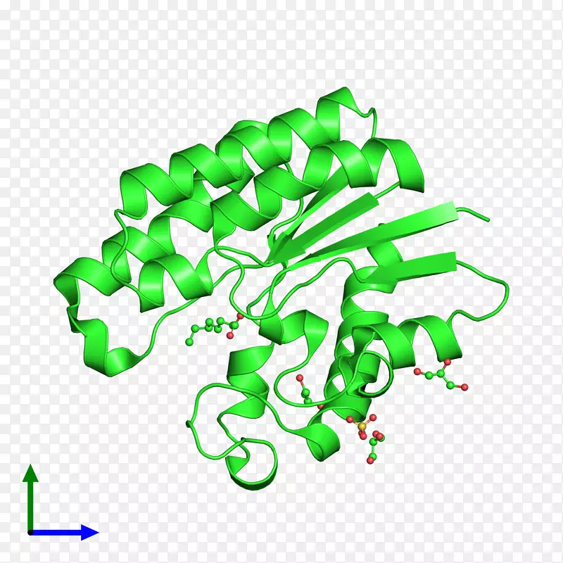 ��������Ʒ����-������