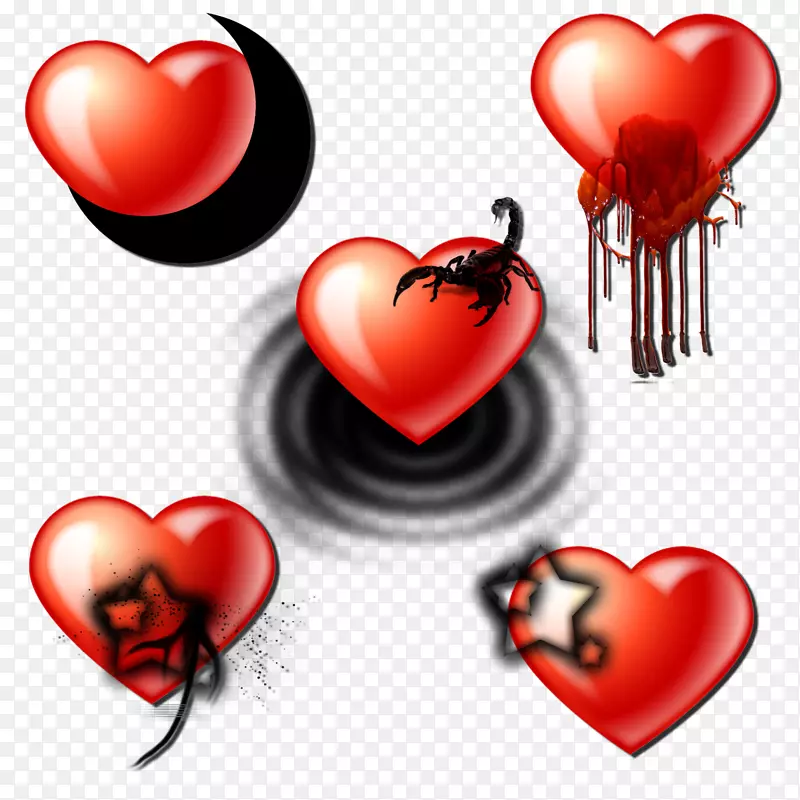 ���������������ռǲ�����-kalp EV-������