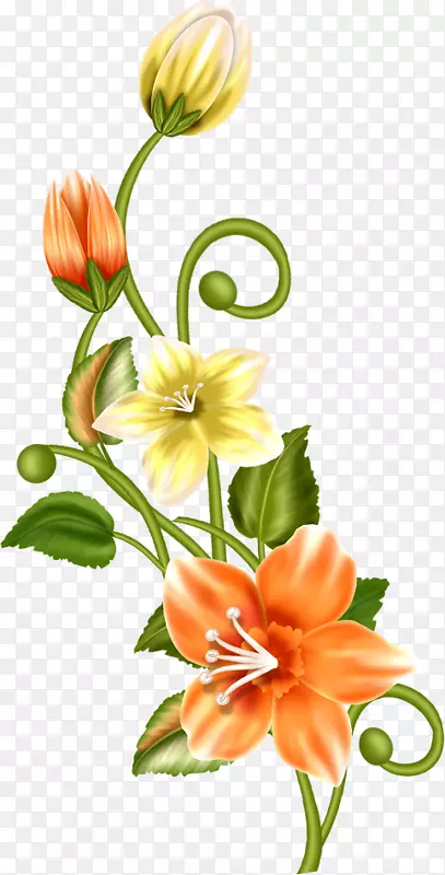 ��������л���������-������