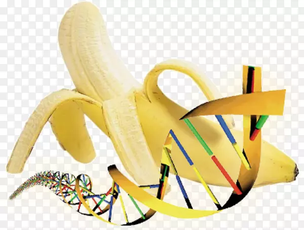 pngͼƬ����˾��ñ���������ñ-������