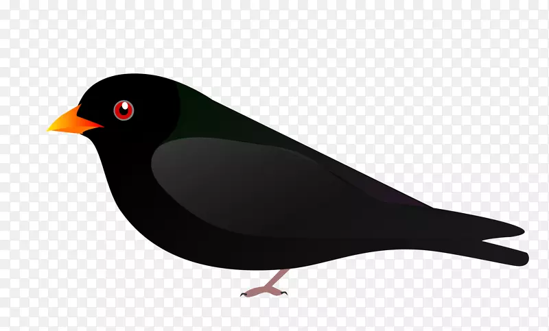 ������ȸ-������