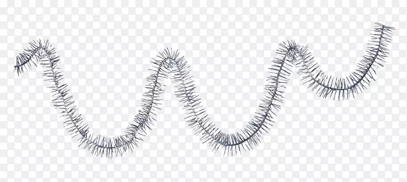 ʥ�������Ĳ��ͻ���ʥ��װ��Ʒ-����-������