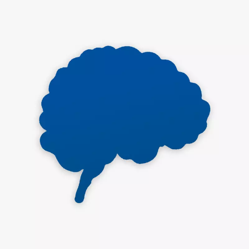 ����ɫ����ɫ�������-����-������