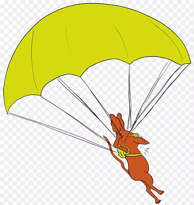 ���������ڰ���������-������