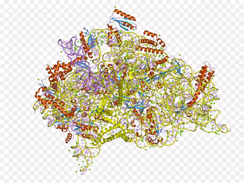 ��������������-����2-������