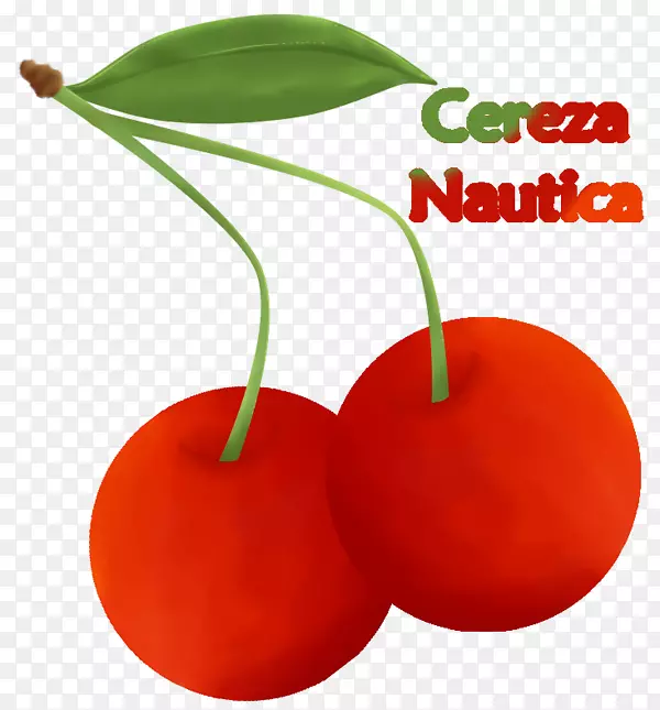 ����ʳƷ����ʳƷ��S.A.��ȻʳƷ-����Ŀ����-������