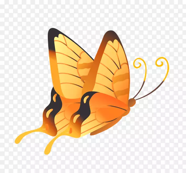 ����pngͼƬͼ������ͼ�����-������