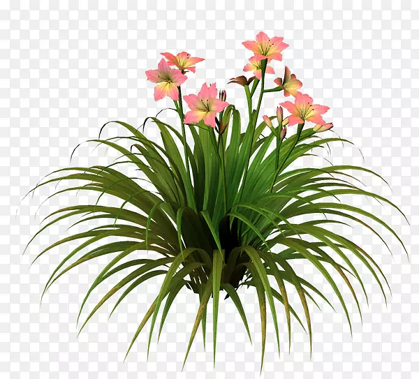 ���벩���л�����-�ٺϻ�-������