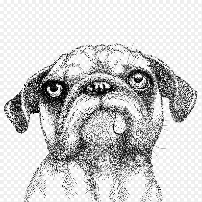 ���񹷷�ֳ��߹������-������