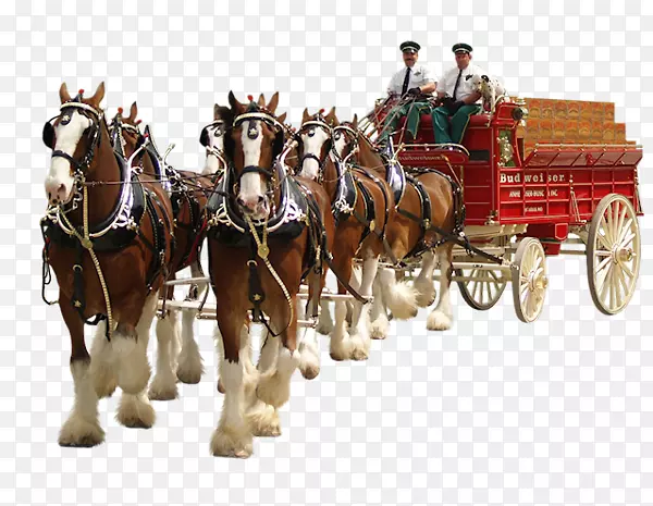 ��gif���Ĳ��Ͷ���pngͼƬ.��-������