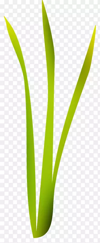 Ҷͼ��ֲ�ﾥ�ݻ�Ҷ-������