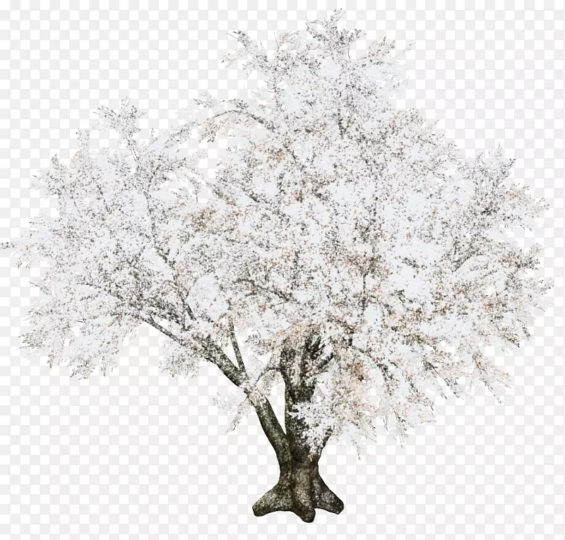 С��֦pngͼƬʥ���ڰ�ѩ��-������