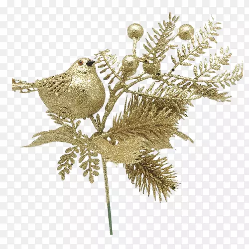 ��֦-������