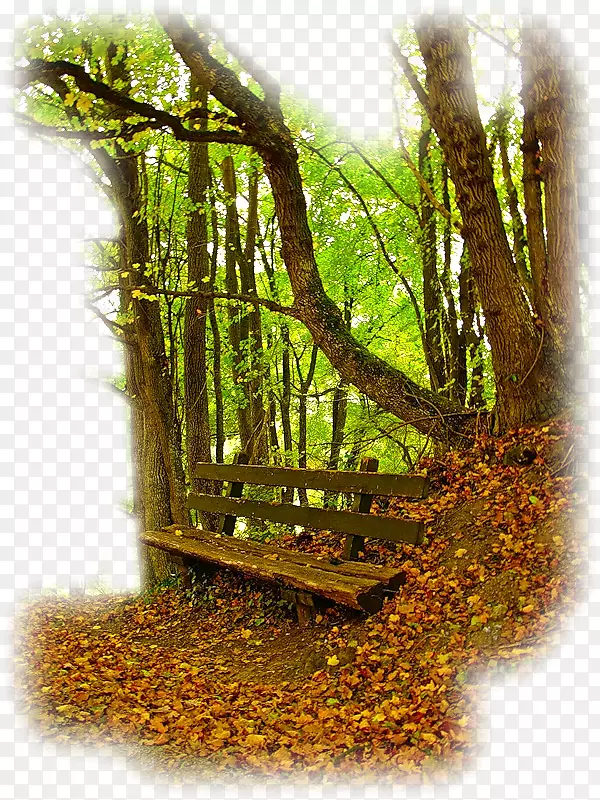 ����ͼ���������ʹ���-������