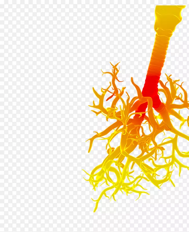 �����������벡���Ʒ�.���ձ���-������