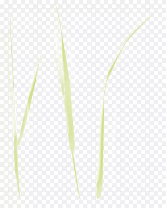 �ݱ�ֲ�ﾥ-������