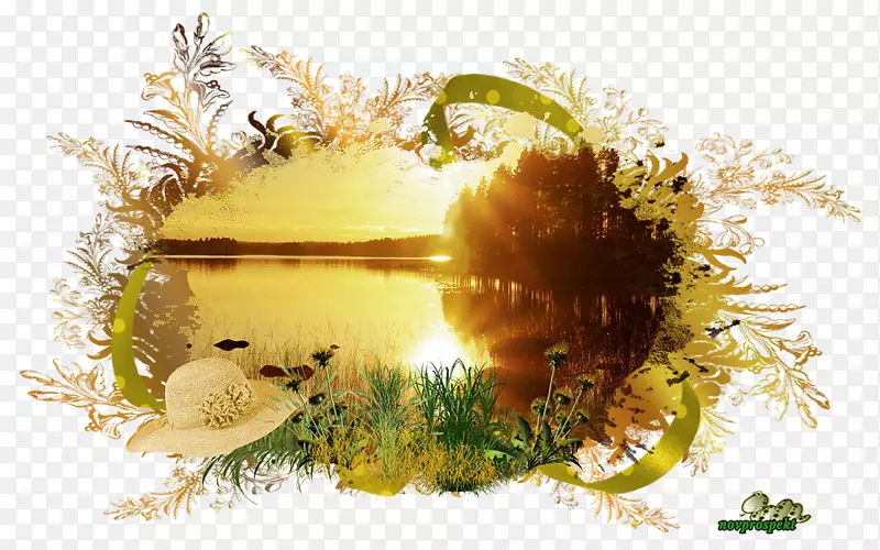 �����ֽ����-�＾�糿-������