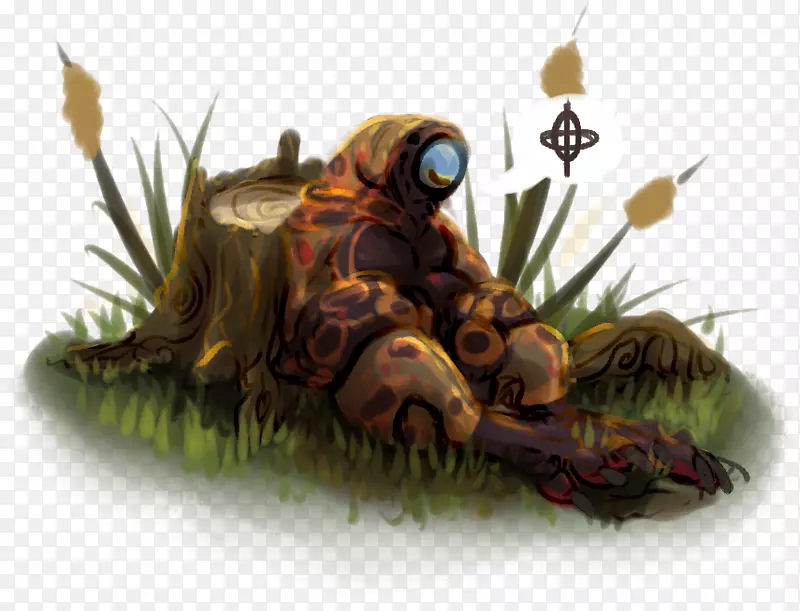 ���ж��ﶯ��Ⱥ��˵�е�����Ĥ-������