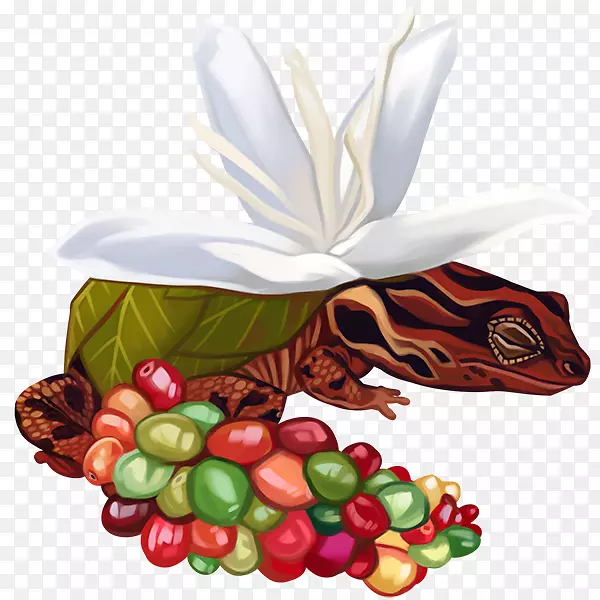 �߲�ˮ����Ȼʳ��-������