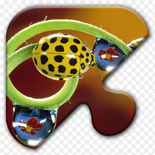 ư���������ɫư�������ֽ-�׳�-������