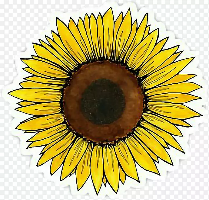 �������տ��컨0-��ѧ��־-������