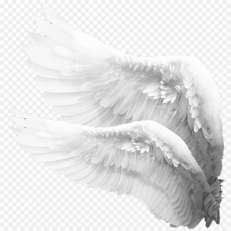 pngͼƬͼ����Ӱ��ʹ���ͼ��-������