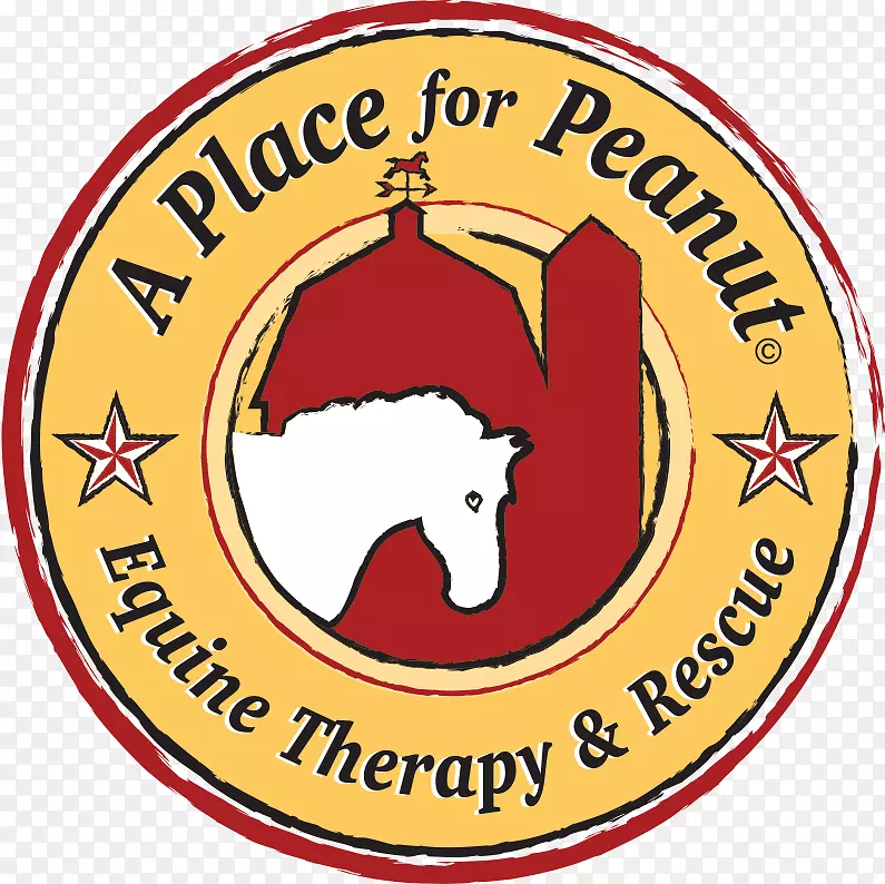 �̱����������-������